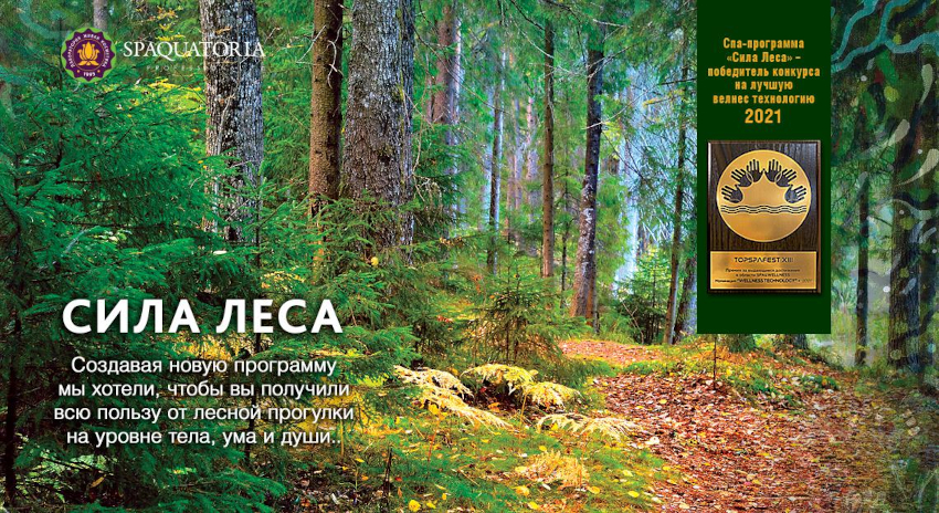 Сила леса